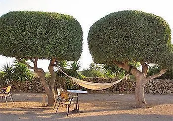 *** Hotel Agroturismo Son Perdiu (Adults Only) Palma de Mallorca Španělsko
